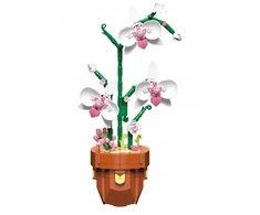 ORCHIDĖJA VAODYJE IŠ BLOKŲ KONSTRUKCINIAI BLAKAI ORCHIDĖJŲ MOTERS DIENA