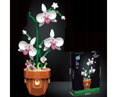 ORCHIDĖJA VAODYJE IŠ BLOKŲ KONSTRUKCINIAI BLAKAI ORCHIDĖJŲ MOTERS DIENA