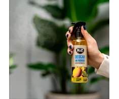 Oro gaiviklis CAYON 250ML LEMON