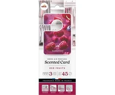 Oro gaiviklis spintai Scented Card Elix 5 vnt. Fruits