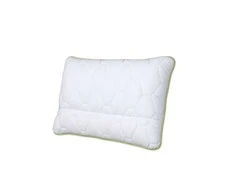 Comco Ergonominė pagalvė Aloe vera, 50x70
