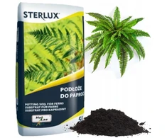 Paparčių dirvožemis 5l Sterlux Hollas