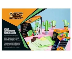 Rinkinys popierinių kaktusų su flomasteriais ir žymekliais BIC