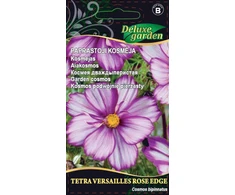 Paprastųjų kosmėjų sėklos DOUBLE DUTCH ROSE, 0,3 g
