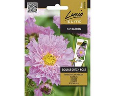 Paprastųjų kosmėjų sėklos DOUBLE DUTCH ROSE, 0,3 g