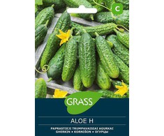 Paprastųjų trumpavaisių agurkų sėklos ALOE H, 1 g