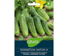 Paprastųjų trumpavaisių agurkų sėklos RODNIČIOK NATUR H, 1 g