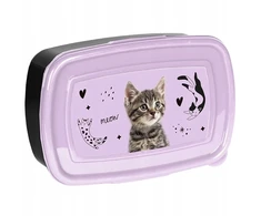 Paso Dėžutė CAT PP25CE-3022