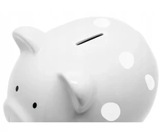 Pearhead Piggy Bank vaikams Pilka