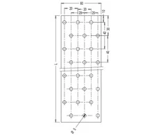 Perforuota plokštelė Arras 60x140x2mm cinkuota