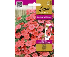 Petunijų- surfinijų sėklos VELVET H SALMON SHADES, 7 vnt