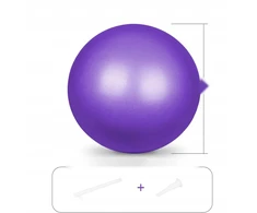 PILATES BALL 25CM MAŽA YOGOS FITNESO GIMNASTIKAS PRATIMAS