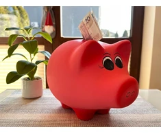 Pink DEKORATYVINĖ KERAMINĖ PIGGY BOX XL Rožinis 16x23 Lenkijos gamybos