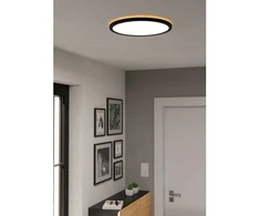 Lubinis šviestuvas Plafoninis LED šviestuvas EGLO ROVITO-R IP44 18W 2700-6500K 2300lm juodas Ø39cm su pultu