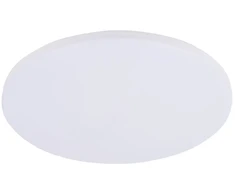 Plafoninis LED šviestuvas SPECTOR LIGHT, 12W, 4000K, 1200lm, IP20, Ø25 x 5 cm