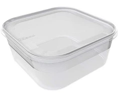 Plastikinė dėžutė maistui užšaldyti Plast Team 1.8l/19x19x8cm Helsinki
