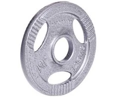 Plieninis svoris grifui 30mm inSPORTline Hamerton 1.25kg