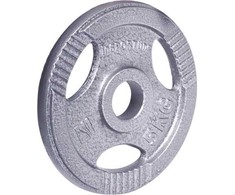 Plieninis svoris grifui 30mm inSPORTline Hamerton 5kg