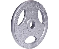 Plieninis svoris grifui 30mm inSPORTline Hamerton 10kg