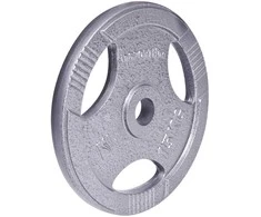 Plieninis svoris grifui 30mm inSPORTline Hamerton 15kg