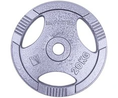 Plieninis svoris grifui 30mm inSPORTline Hamerton 20kg