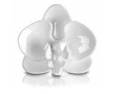 Polnix Tvirtinimas augalams Orchid 5x5cm plastikinis/baltas
