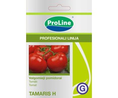 Pomidorų sėklos TAMARIS H, 8 vnt