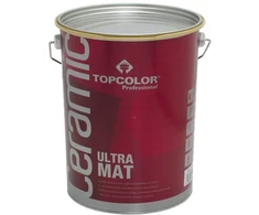 DISPERSINIAI DAŽAI PROFESSIONAL ULTRA MAT 2,5L 3-X6