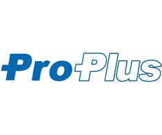 Proplus GRINDŲ KILIMAS VESTHIP KILIMUI 2,5X4m KILIMAS KEMPINGAS STORIS