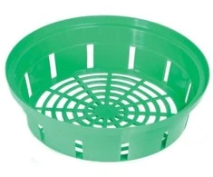 Prosperplast Pintinė svogūninėms gėlėms 23cm žalios