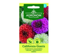 Puikiųjų gvaizdūnių jurgininių СALIFORNIA GIANTS sėklos, 0,5 g