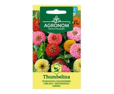 Puikiųjų gvaizdūnių THUMBELINA sėklos, 0,5 g
