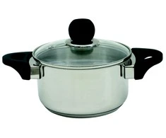 Dajar Puodas su dangčiu Vikos Ambition Ø16cm/1.8L visiems paviršiams