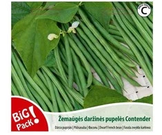 Bikuvalt Pupelės žemaūgės daržinės Contender 20g, 0483