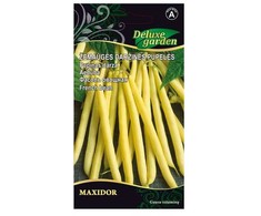 Pupelės žemaūgės daržinės Maxidor 10g 3812