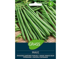 Pupelių sėklos MAXI, 8 g