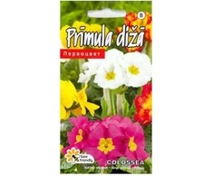 Raktažolių sėklos 0.1g Colossea