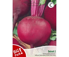 Raudonųjų burokėlių sėklos DETROIT, 10 g
