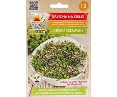 Raudonųjų kopūstų daigintos sėklos Toraf 10 g