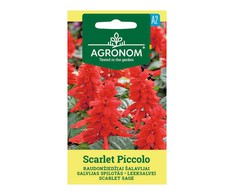 Raudonžiedžių šalavijų SCARLET PICCOLO sėklos, 0,15 g