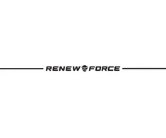 Renew Force THERMAL PICNIC BEACH BAG 29L Travel Tourist 2 NEMOKAMAI Įdėklai