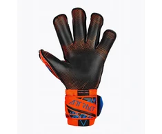 Reusch Attrakt Gold X Evolution GluePrint futbolo pirštinės - Oranžinės