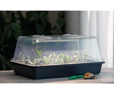 Romberg Kambarinis šiltnamis su LED lempa augalams 38x24x19cm/L20cm/5W