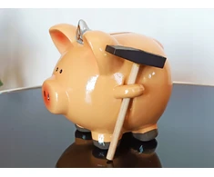 Roter Piggy bank princesė kiaulytė su plaktuku paršeliu kaip dovana