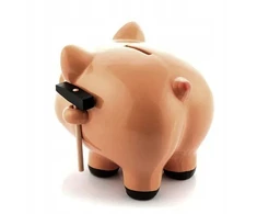 Roter Piggy bank su plaktuku w170z kryžminė kiaulė dovana taupymui