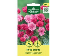 Rugiagėlių sėklos ROSE SHADE, 1 g