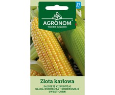 Saldžiųjų kukurūzų ZŁOTA KARŁOWA sėklos, 5 g