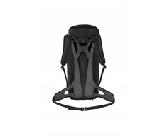 Salewa Alp Mate 36l turistinis kuprinė