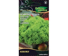 Salotos sėjamosios Rekord 1g 3577