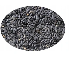 SAULĖGRĄŽOS LAUKINIAMS PAUKŠČIAMS 2,5kg TURDUS PL811